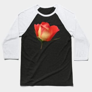 orange rose, roses, flower, flowers, bloom Baseball T-Shirt